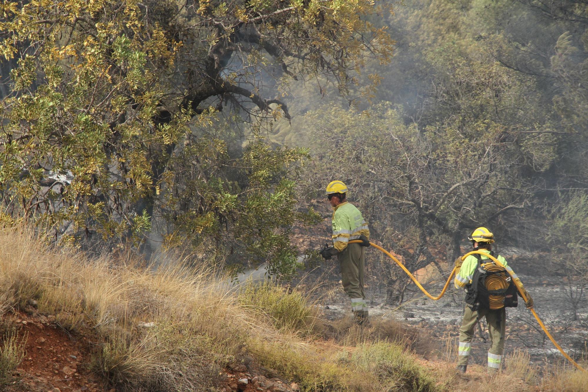 Incendio en el barranc de l'Horteta de la Vall