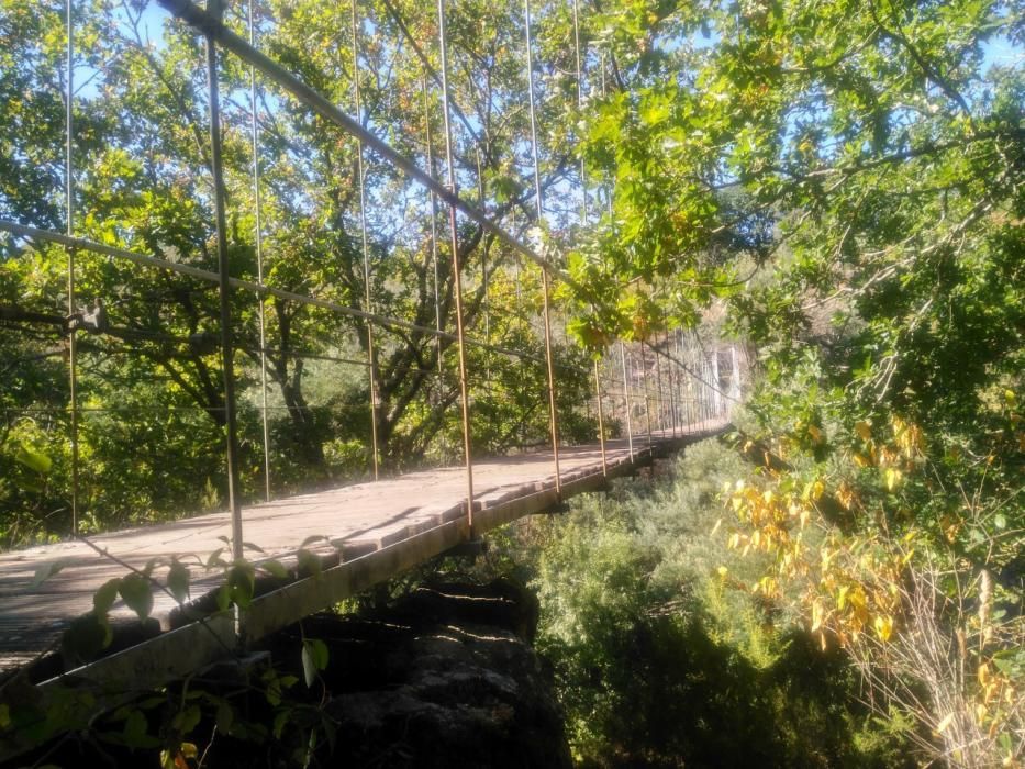 Puentes colgantes en Galicia | Así es la vertiginosa pasarela de Calvelo