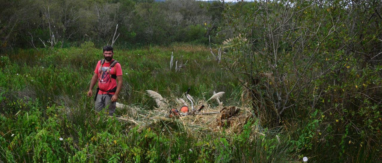 Uno de los integrantes de Pouso da Serra, en los trabajos de erradicación de la pampa en la Lagoa de Vilariño.