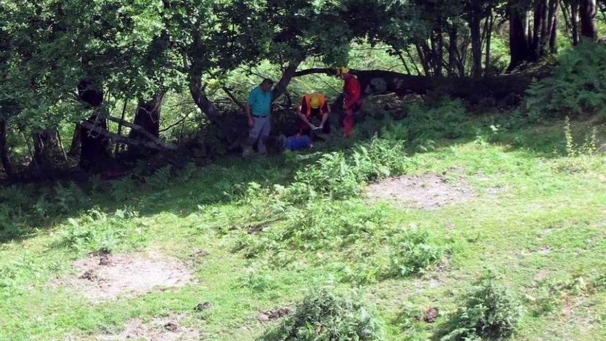 Evacuado en Piloña un excursionista al sufrir un fuerte dolor torácico