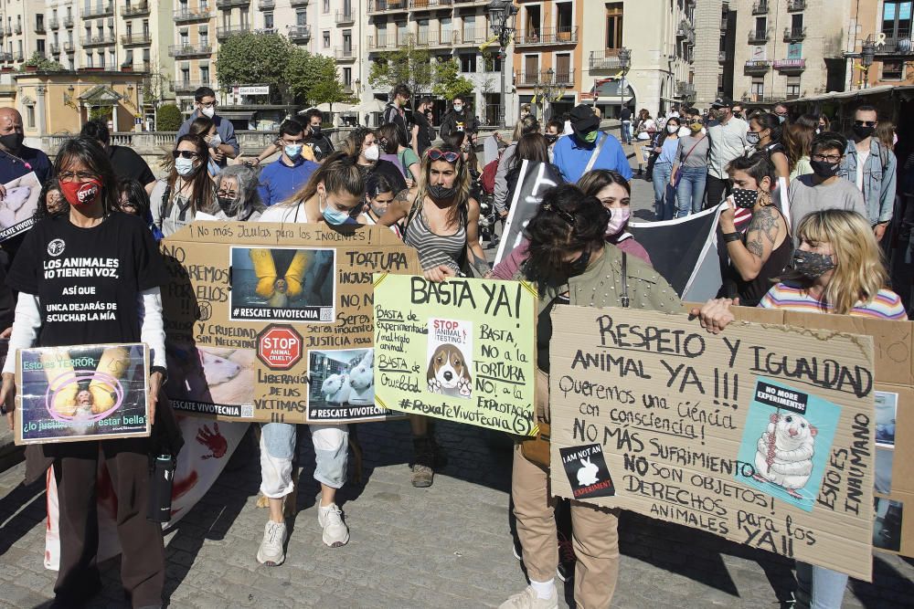 Concentració a Girona per reclamar l'alliberament dels animals de Vivotecnia de Madrid