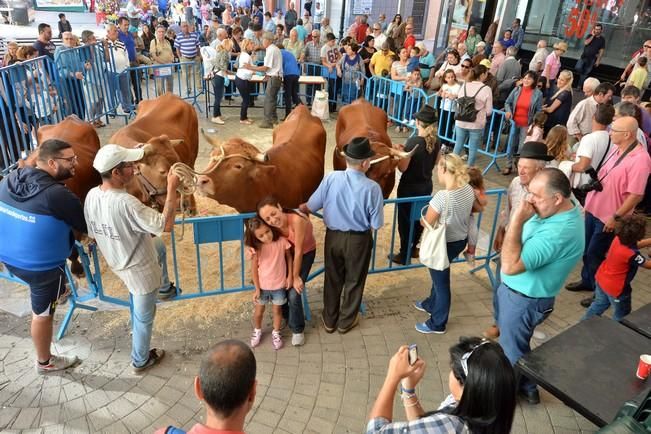 FIESTAS DE SAN GREGORIO