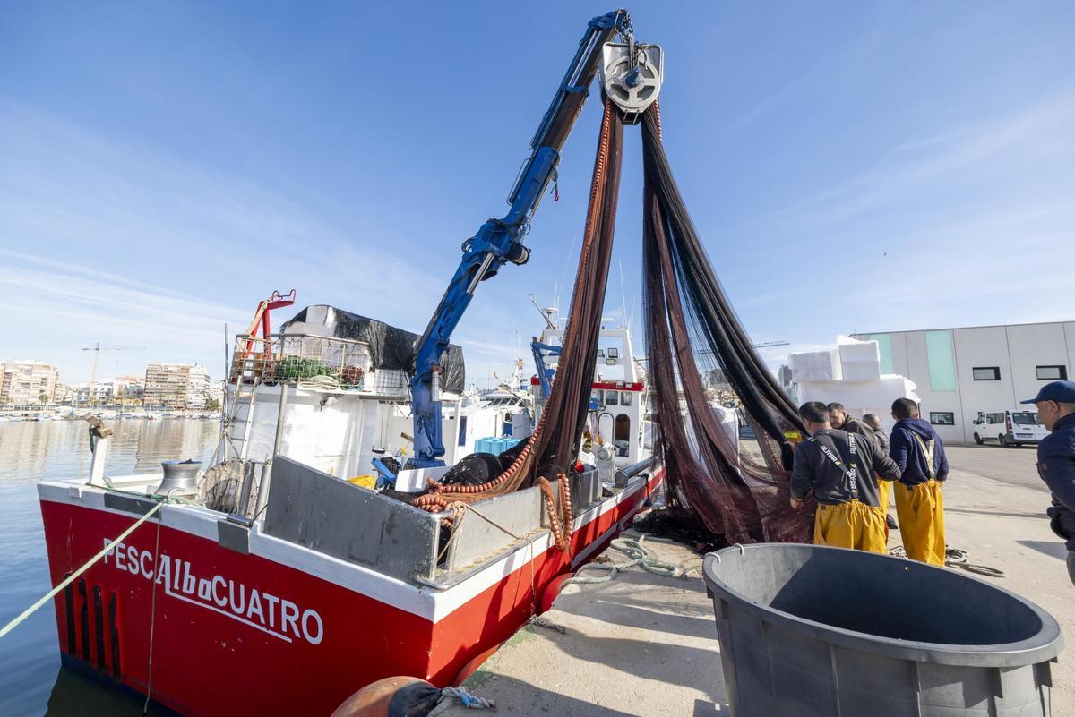 Barcos de cerco atracados en lo que queda de la zona pesquera del puerto de Torrevieja Barcos de cerco atracados en lo que queda de la zona pesquera del puerto de Torrevieja