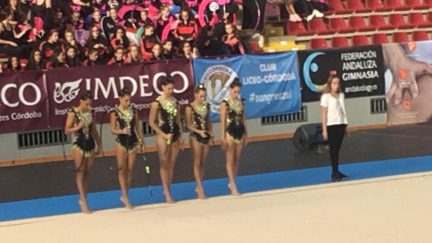 Las gimnastas, en plena acción.