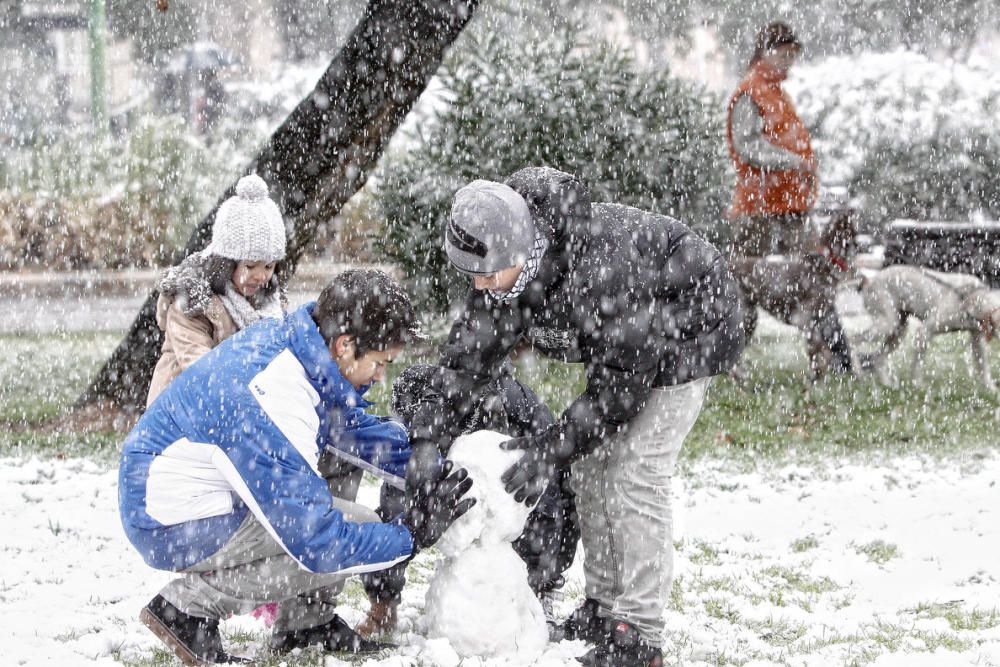 Cinco años de la gran nevada en Palma