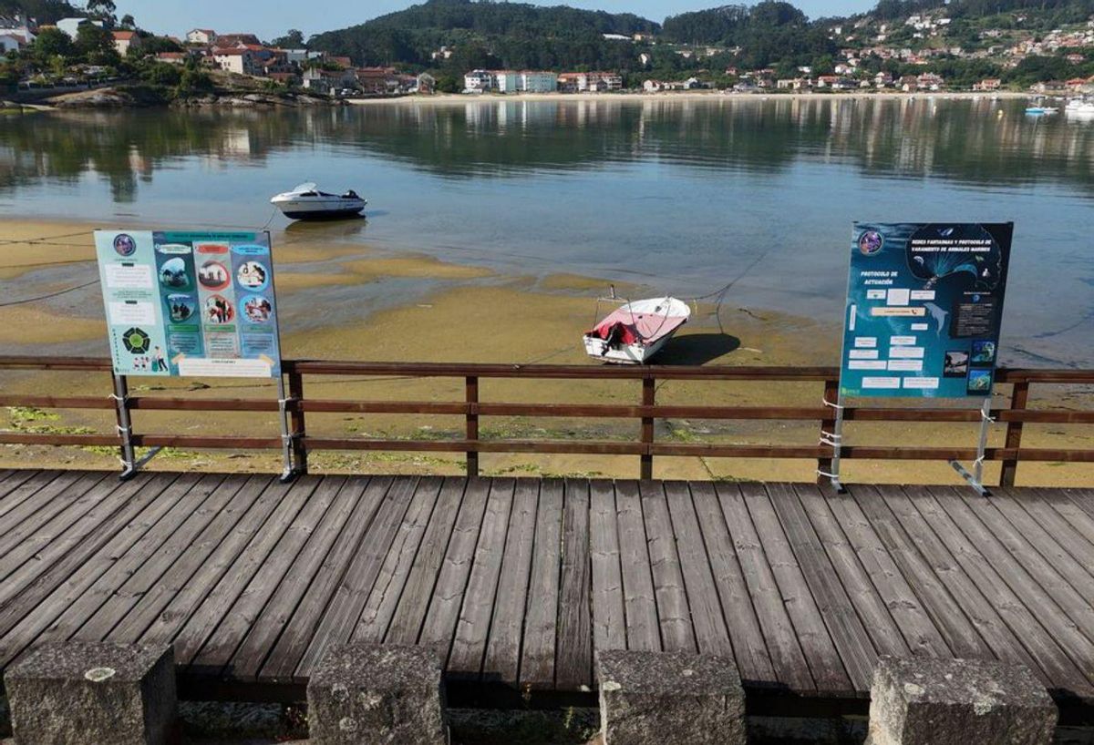 Paneles de la exposición en el paseo marítimo. | FdV