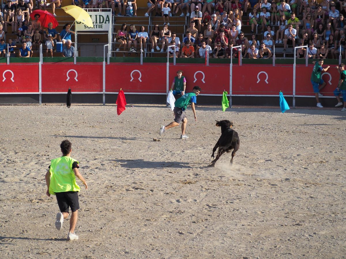 La plaza de toros tendrá una amplia prgramación durante los seis días.