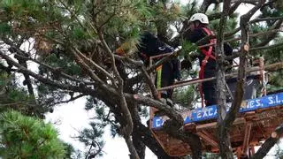 Tratamiento de choque y primeros auxilios para un emblema de Bueu
