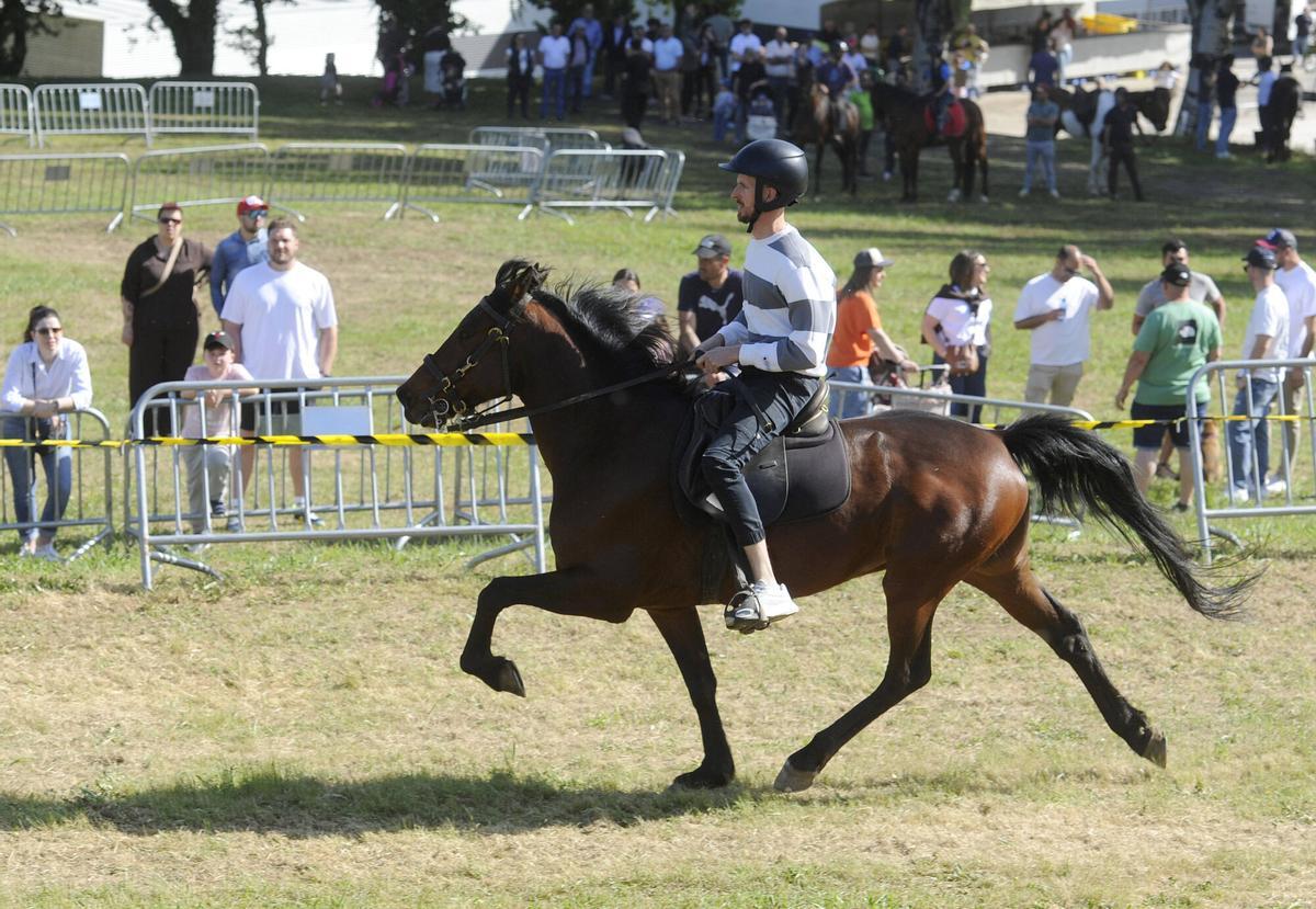 XXXVI Feira do Cabalo de Lalín, 2026