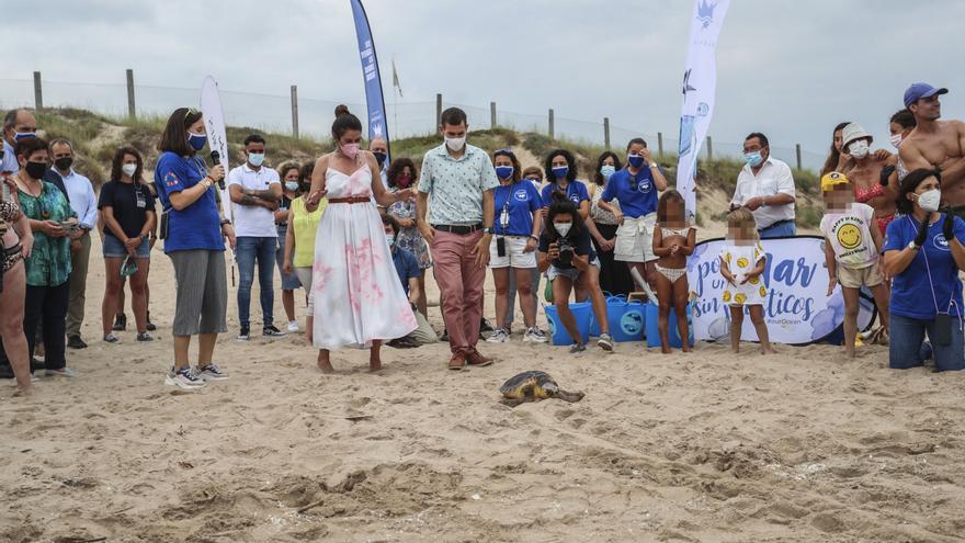 Liberación de tortugas marinas en el Parador de El Saler