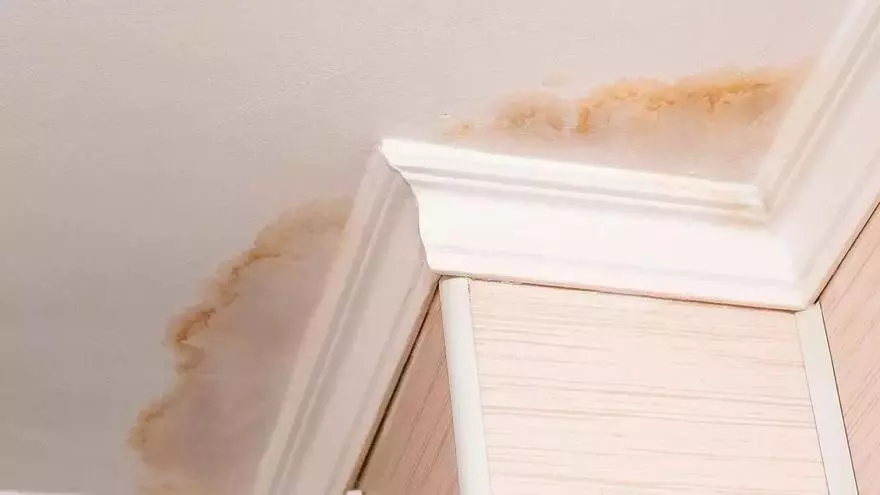 El truco de las 20 gotas contra las manchas de humedad: así podrás eliminarlas sin tener que pintar la pared