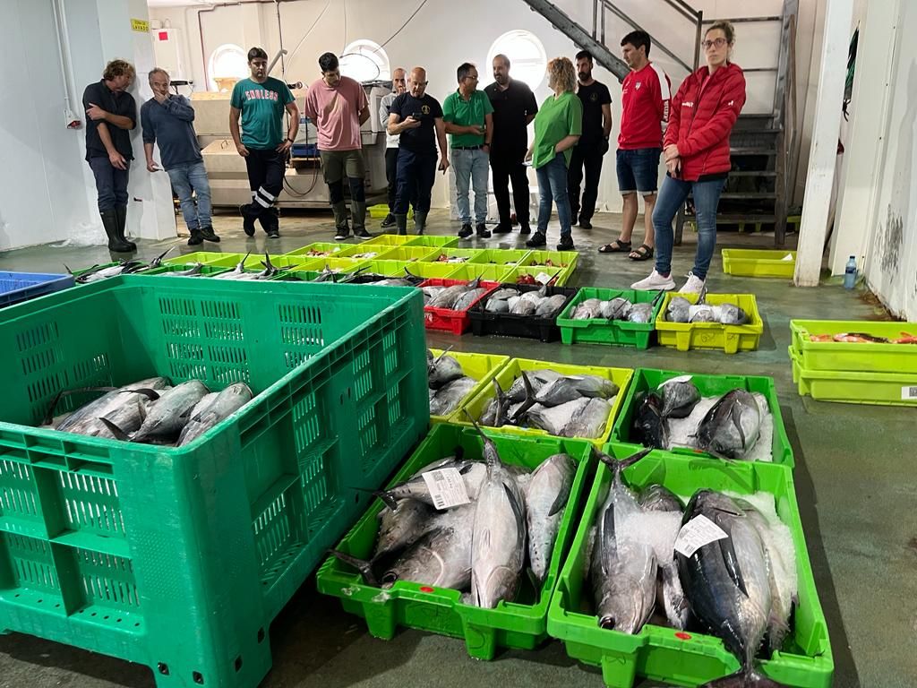 Casa Poli, de Puertas de Vidiago, se lleva el primer bonito de la costera de Llanes, a catorce euros el kilo