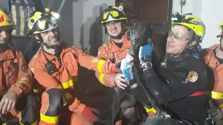 Los bomberos rescatan a un perro de un pozo de 20 metros de profundidad en Quart