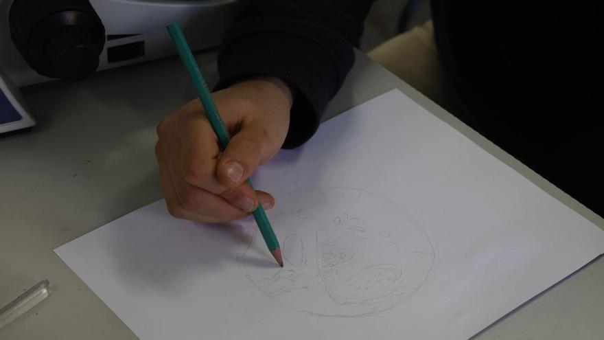 Los profesores de Secundaria pasarán de 20 a 18 horas lectivas el próximo curso si se aprueba el borrador de la Xunta