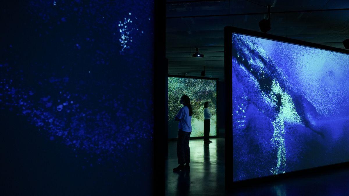 Exposición ECOS DEL OCEANO. Esta obra utiliza tecnologías de IA para generar imágenes inmersivas que se combinan con grabaciones sonoras reales de cetáceos.