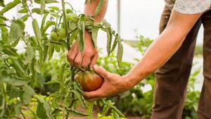Lluitar pel planeta  des de la taula
