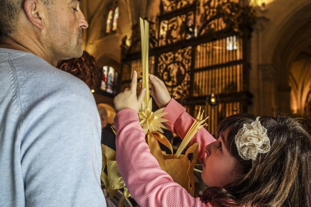 Domingo de Ramos en Orihuela