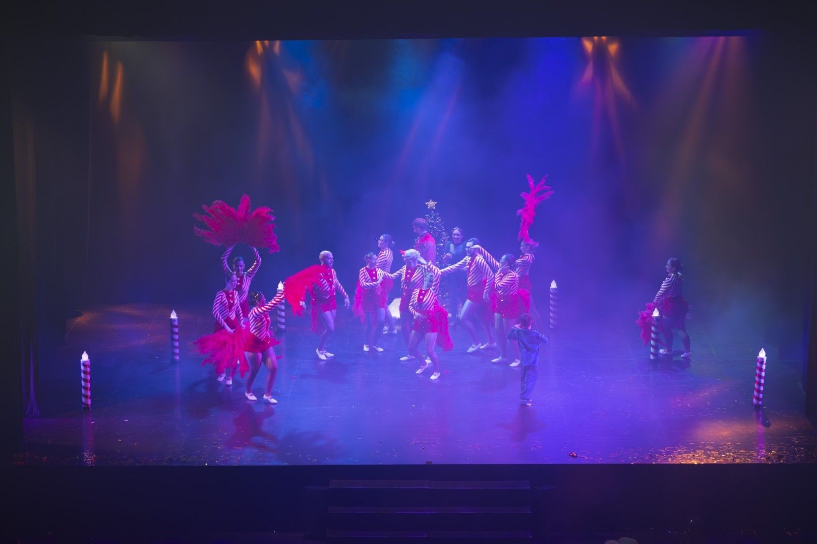 Las mejores imágenes del pregón y la gala del Carnaval 2026 de Torrevieja están aquí