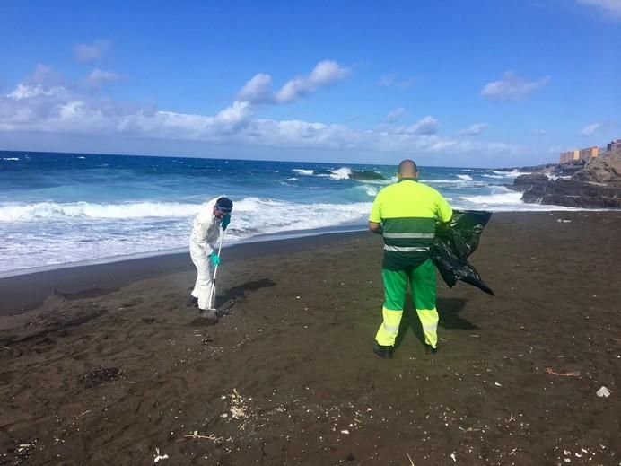 Recogida de restos de piche en la playa teldense de Palos