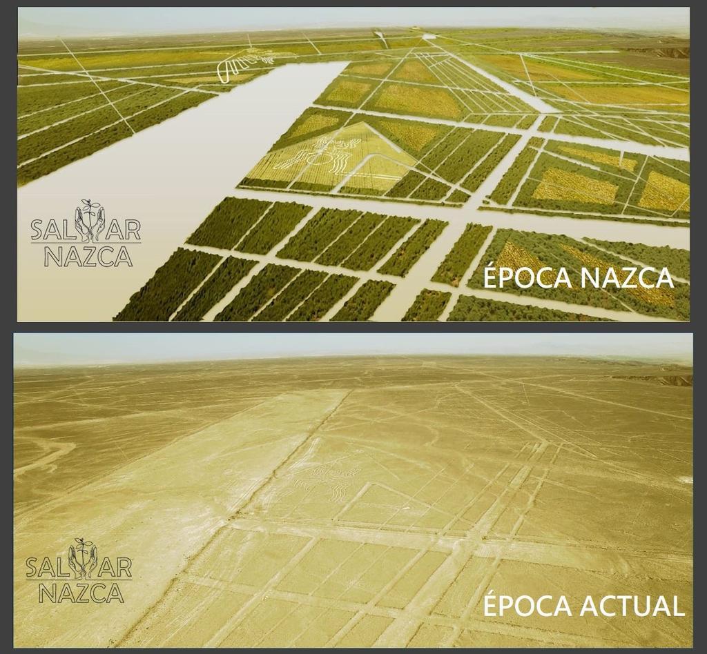 Desierto Verde. Su evolución en el tiempo.