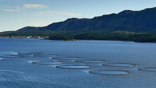 El Pacto del agua en Mallorca cuenta con 19,3 millones de euros