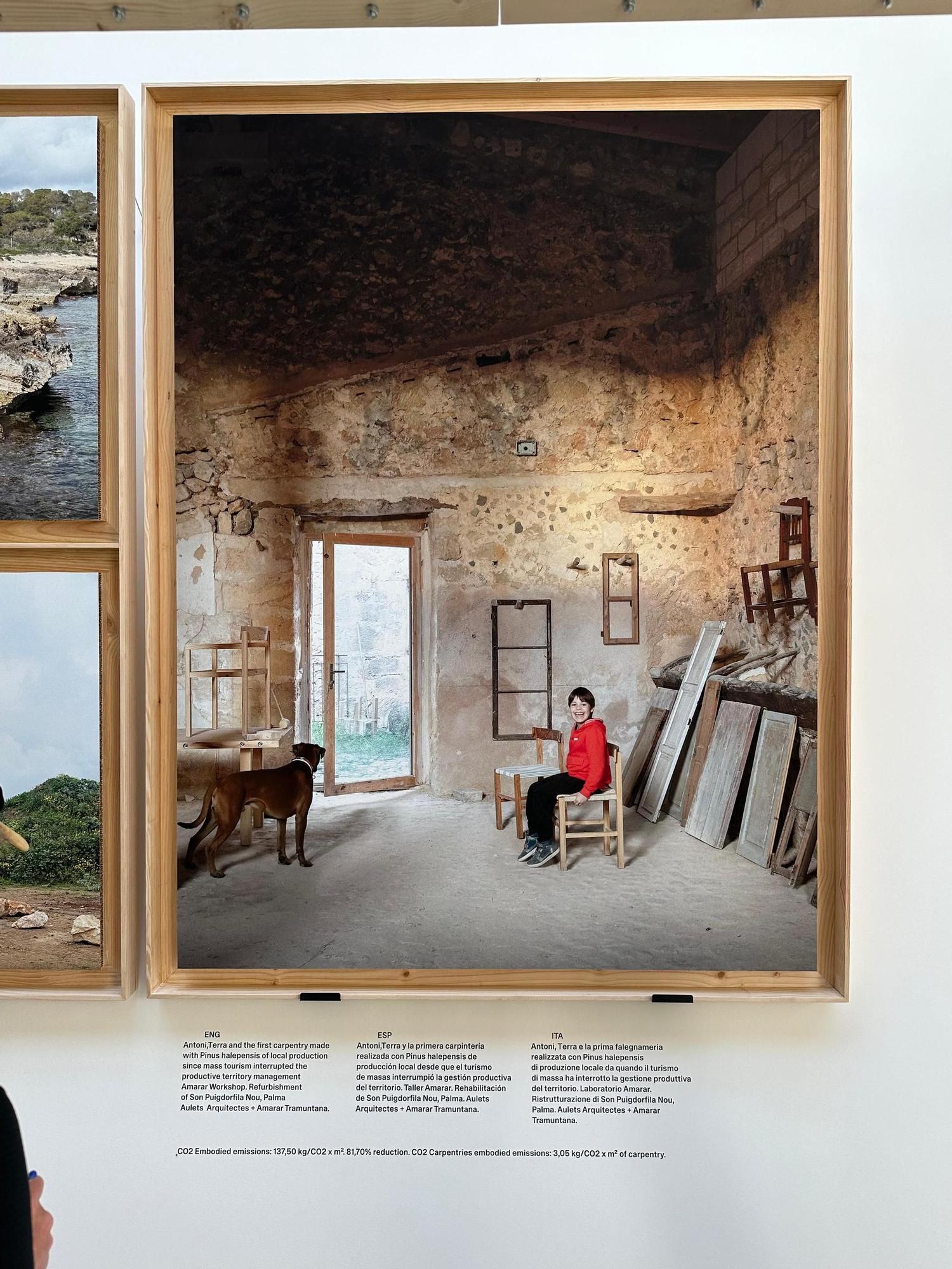 Las imágenes de la arquitectura mallorquina en la preapertura de la Bienal de Venecia