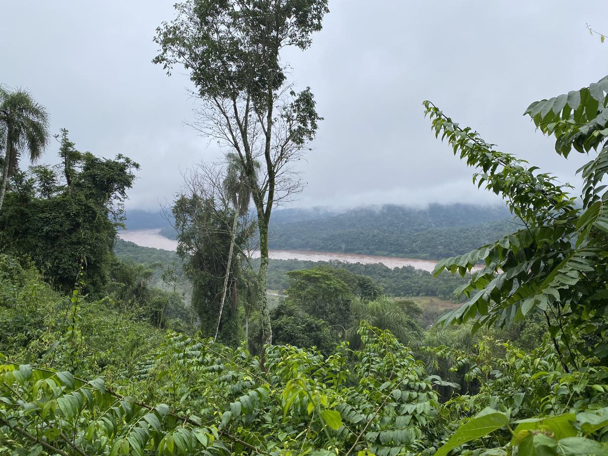 El río Uruguay atraviesa la selva misionera.