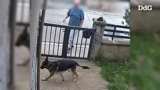 Vídeo | Investigado un hombre por lanzar líquido corrosivo a dos perros en Olot