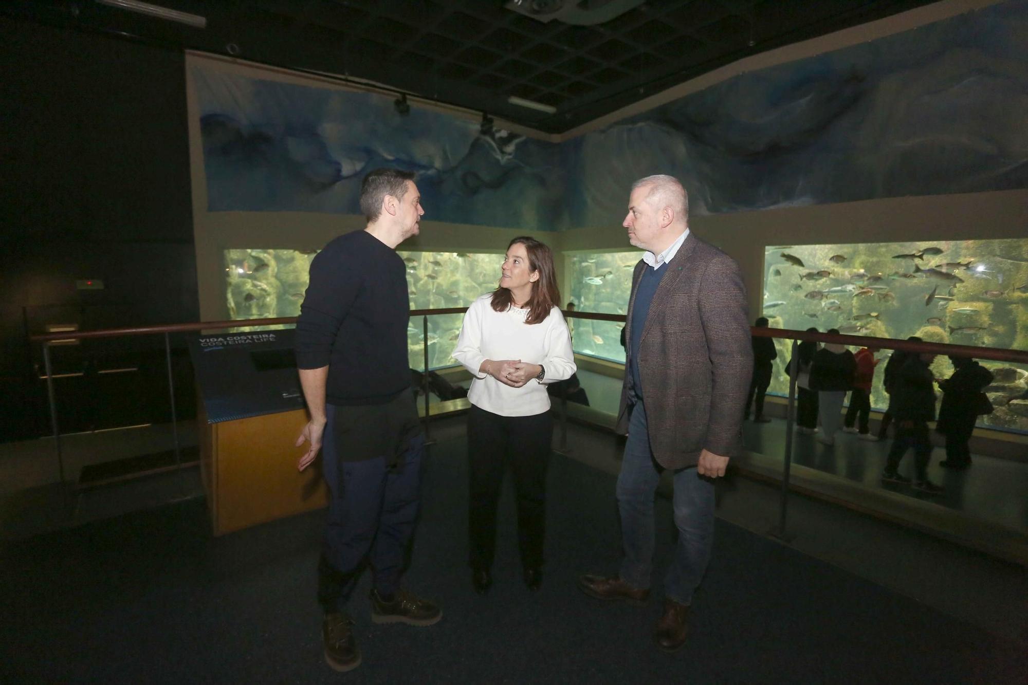 Un mural de 60 metros de largo conmemora el 25 aniversario del Aquarium de A Coruña