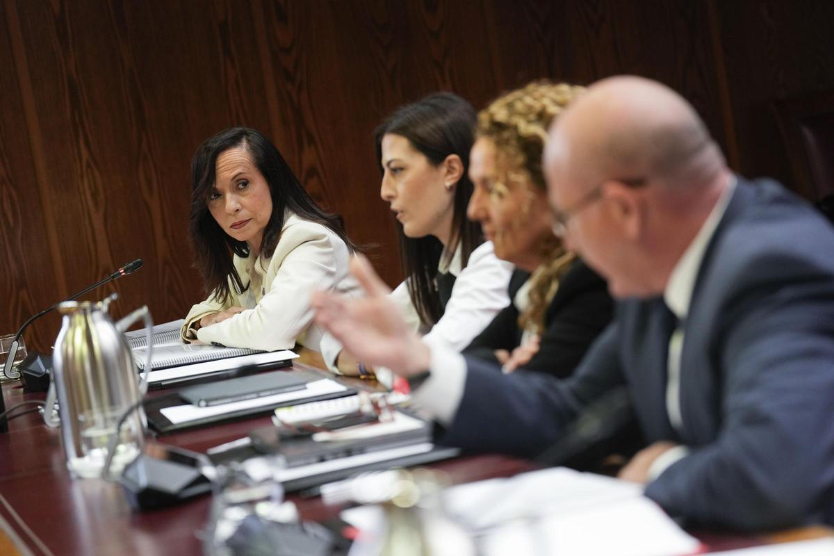 Corredor defiende el papel de Red Eléctrica.
