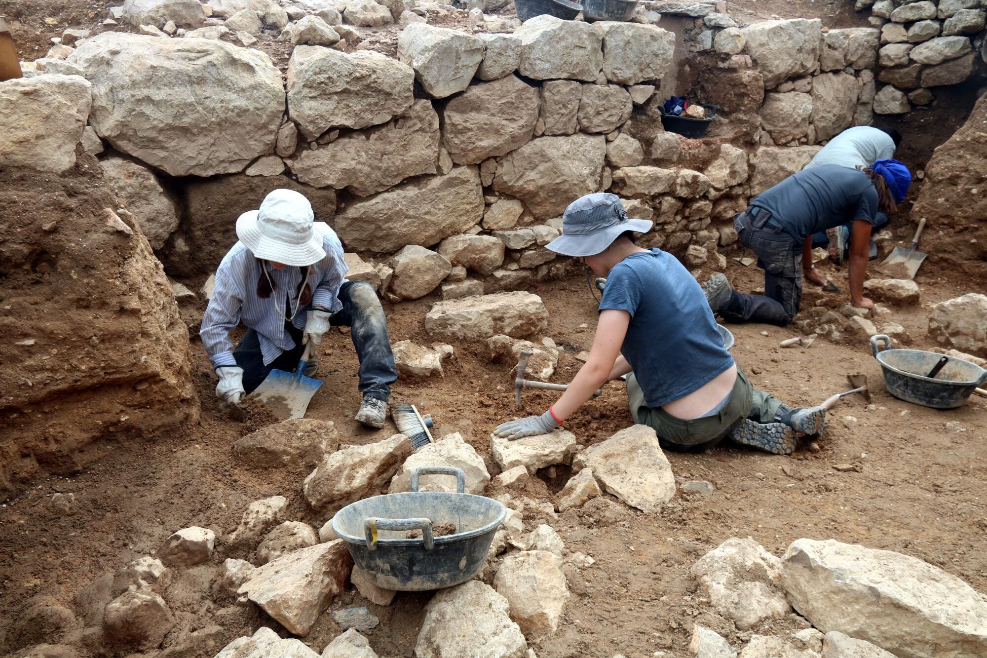 Els arqueòlegs excavant una de les terrasses superiors que formaven part del santuari dedicat a Demèter a Empúries