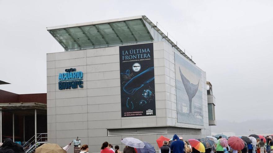 La primera jornada de puertas abiertas de la historia del Acuario de Gijón, en imágenes