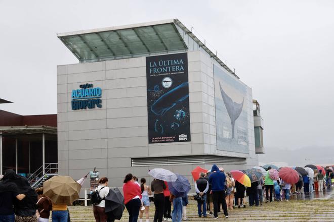 La primera jornada de puertas abiertas de la historia del Acuario de Gijón, en imágenes.
