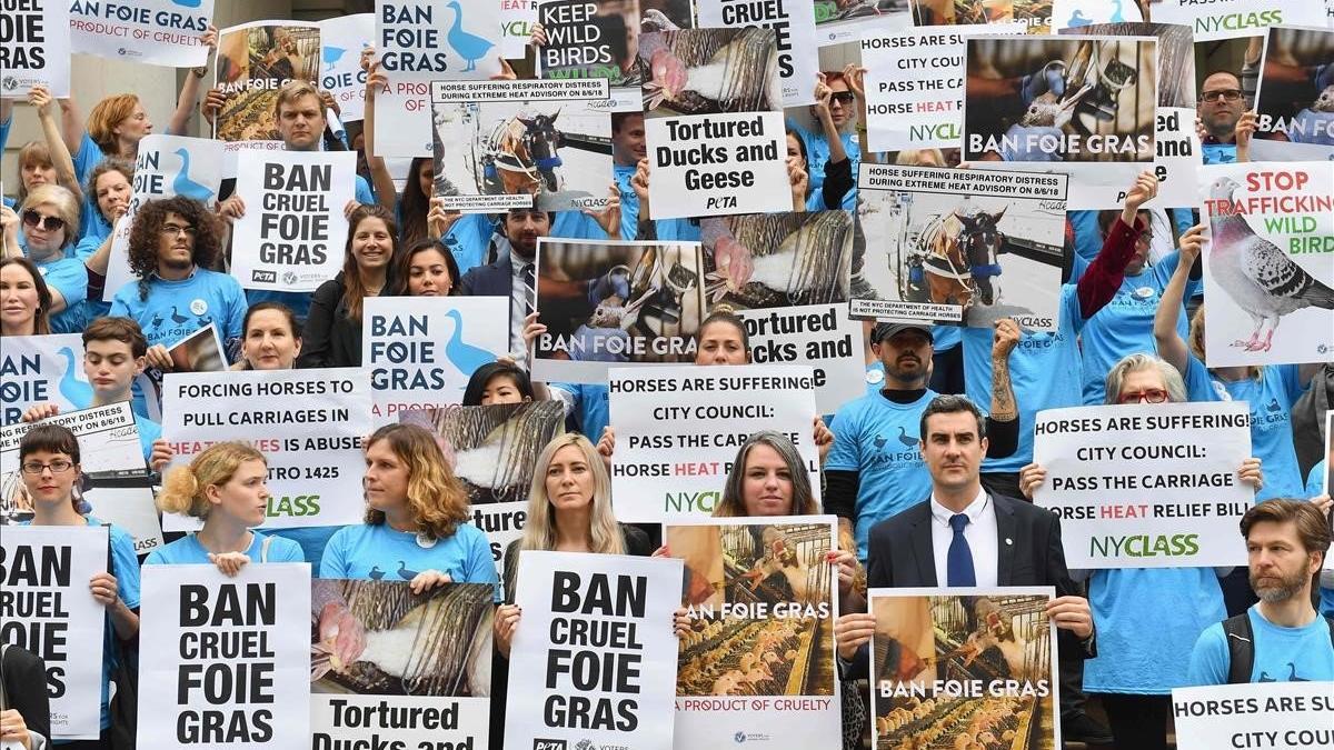 Activistas por los derechos de los animales organizan una manifestación en apoyo de un proyecto de ley para prohibir la venta de foie gras en Nueva York