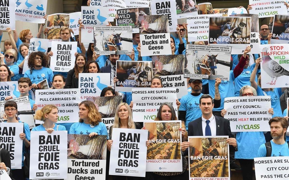 Activistas por los derechos de los animales organizan una manifestación en apoyo de un proyecto de ley para prohibir la venta de foie gras en Nueva York