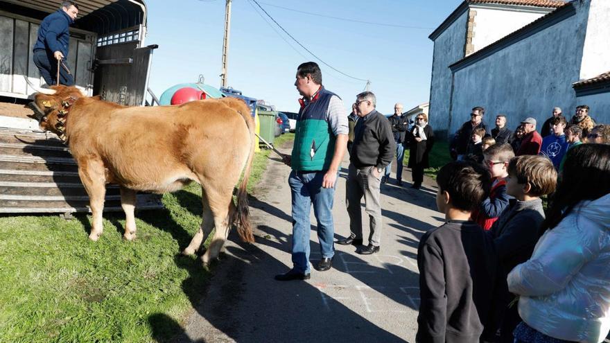 Un momento de la rifa de la xata, el pasado diciembre de 2024 en El Ferrero.