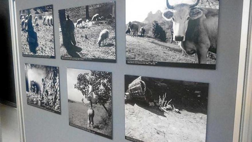 Mostra de les fotografies d&#039;Àngel Prat a la Universitat de Girona