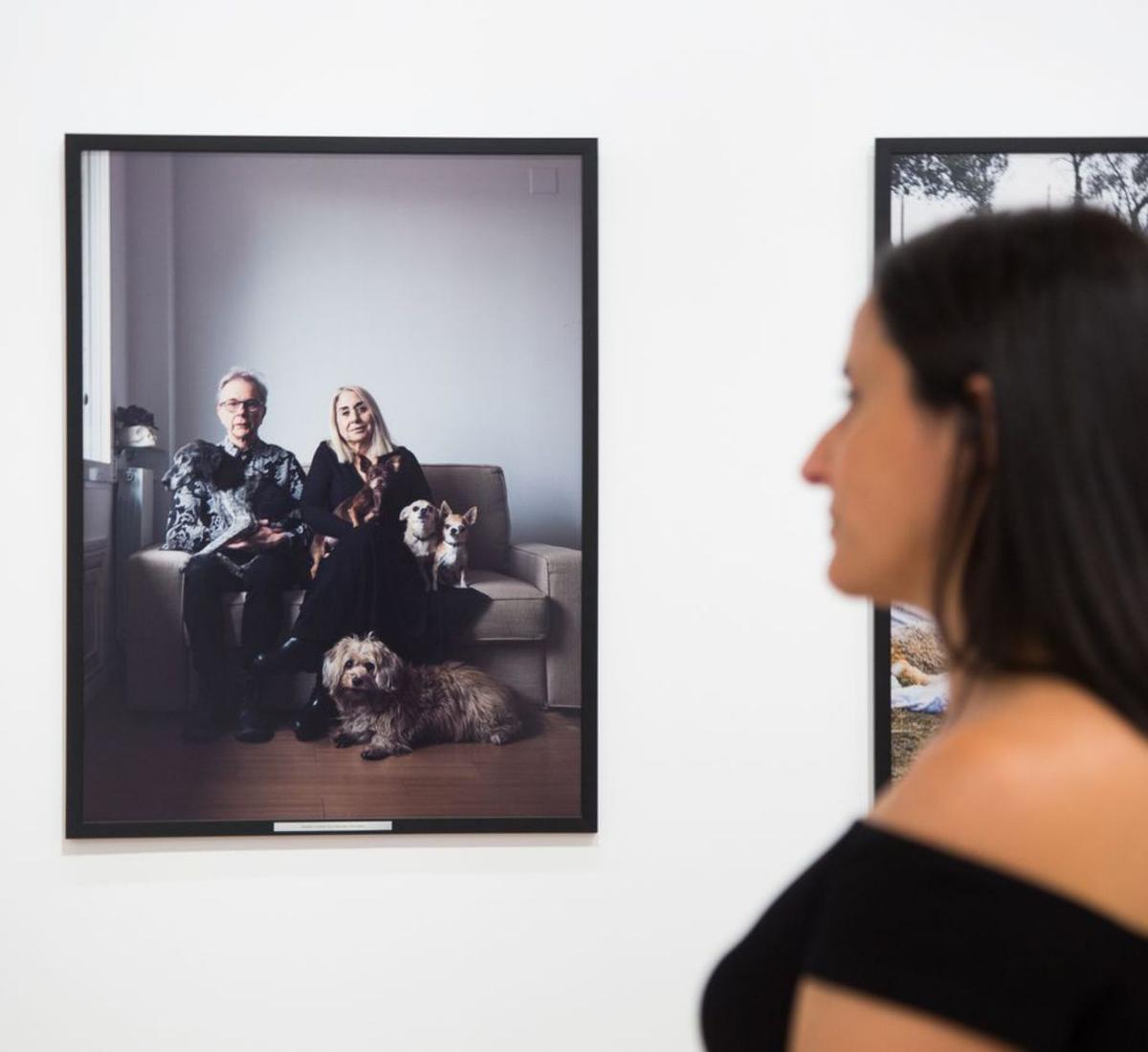 Ayudar a que los animales a reclamen su espacio en las fotos familiares