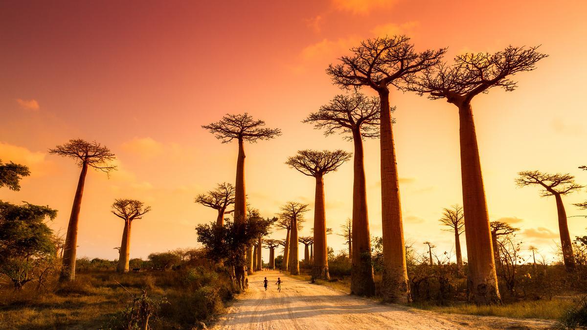 Madagascar, la isla paraíso