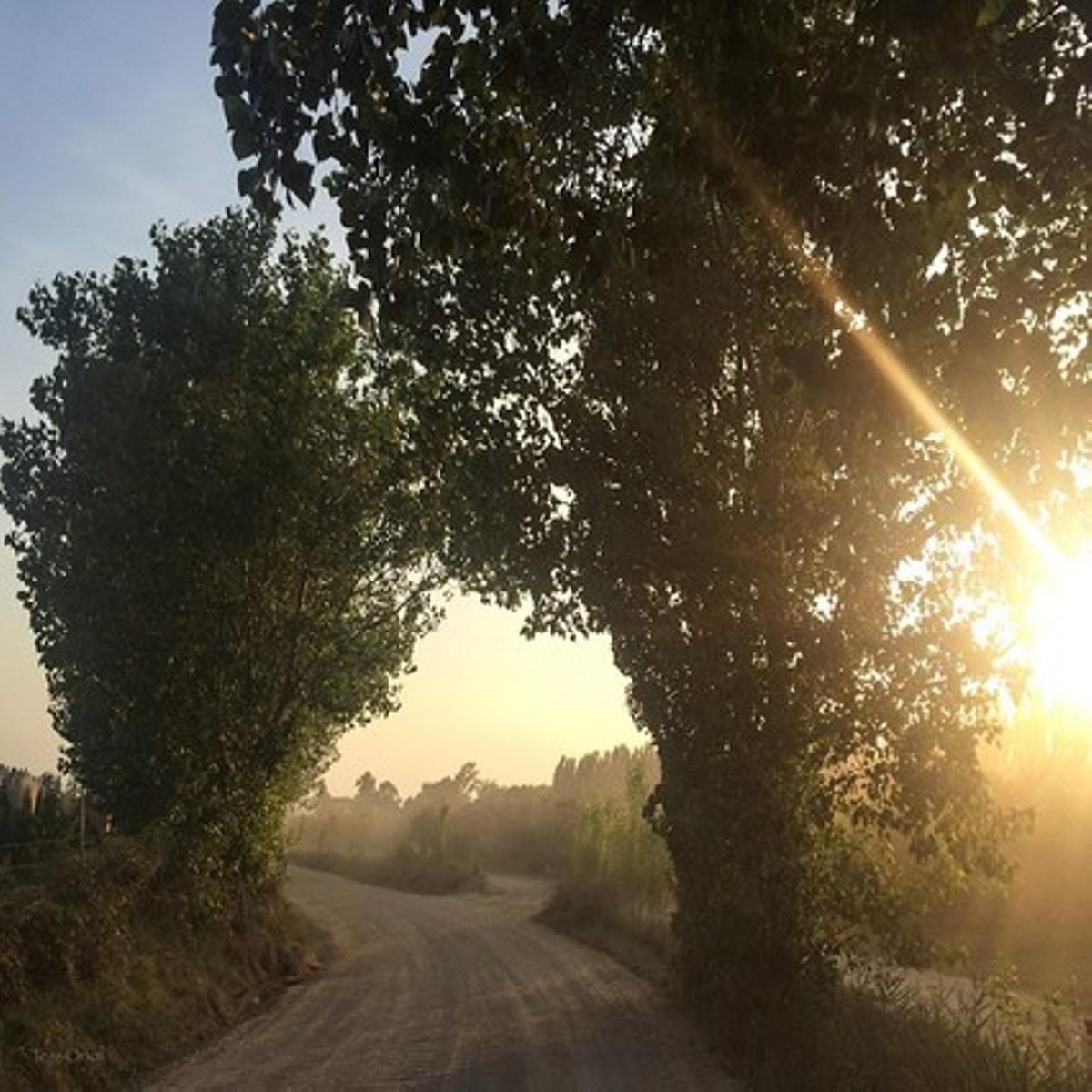 Camino de luz en l’Empordà.