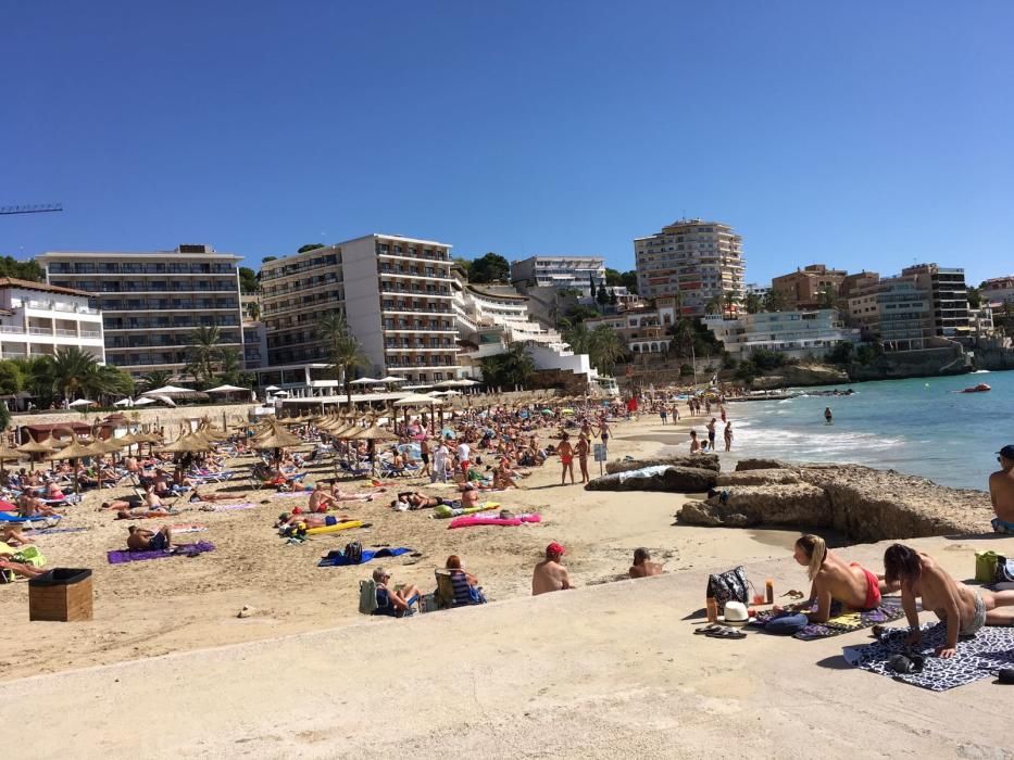 Vertido tóxico en Cala Major