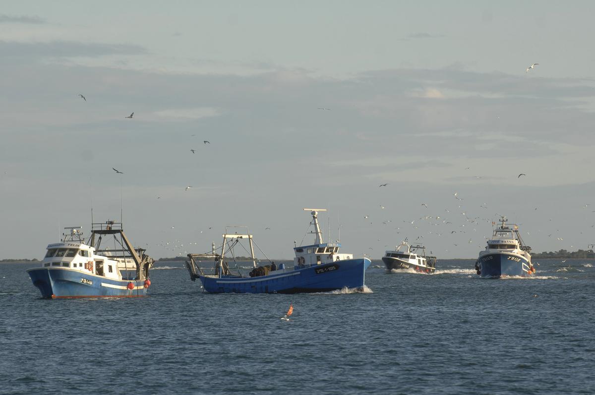 Barcos de pesca dirigiéndose al puerto pesquero de La Ràpita.