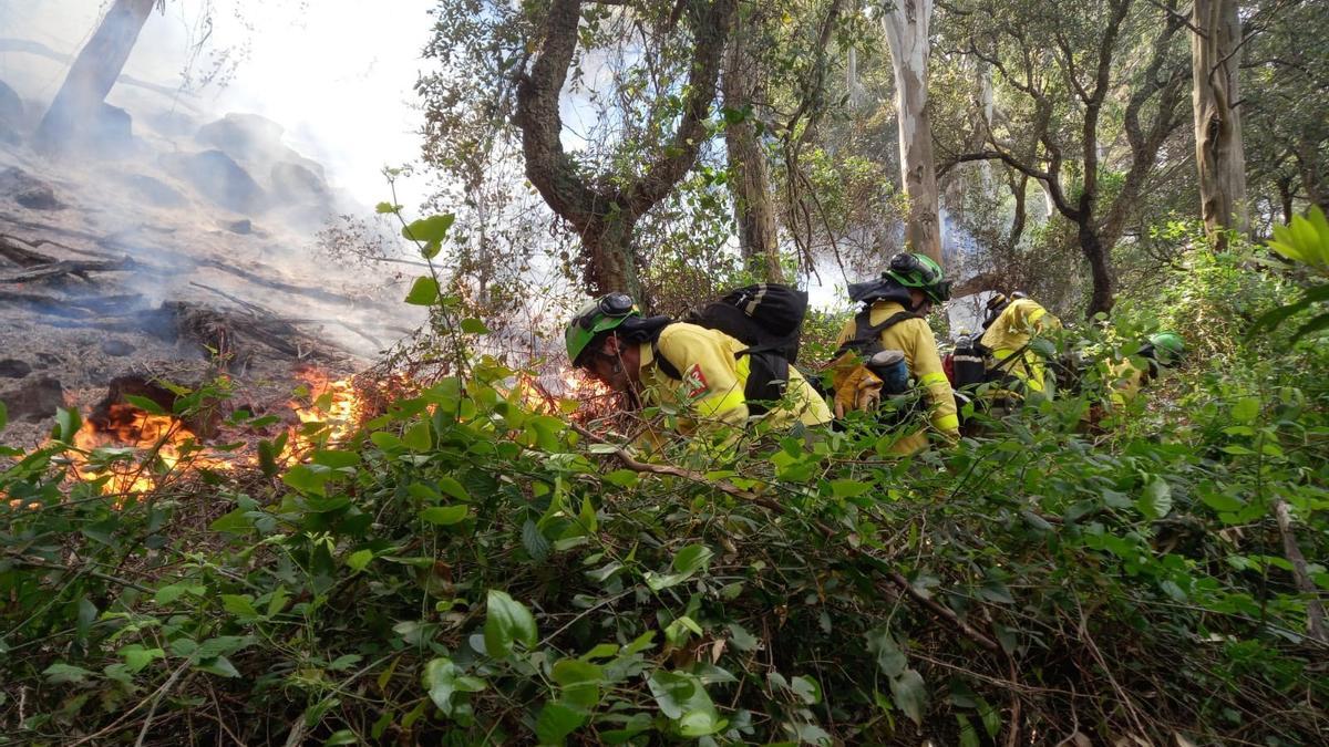 Efectivos del Infoca luchan contra el fuego en Tarifa, esta semana.