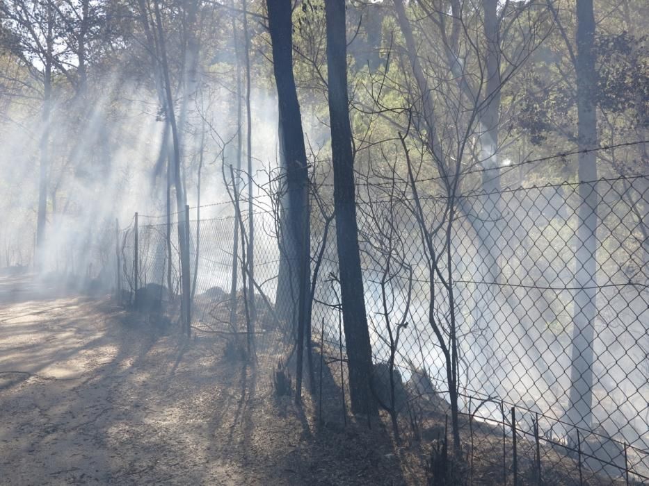 Waldbrand bei Puigpunyent