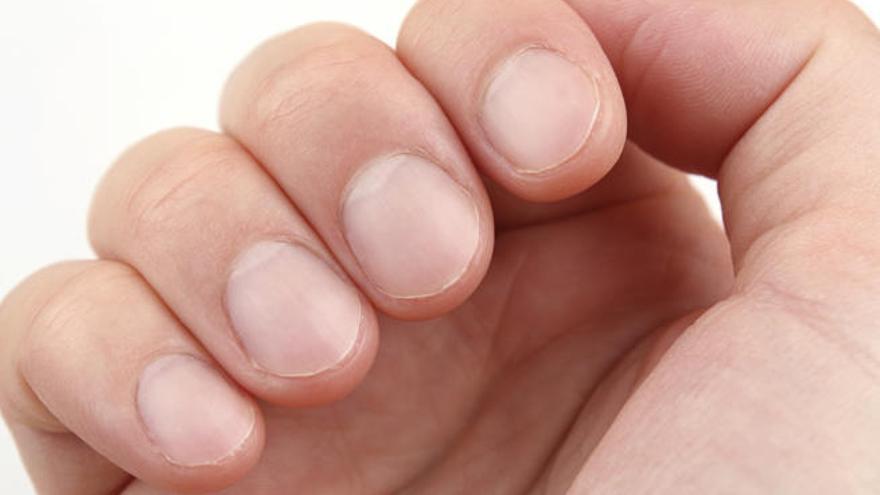 Las uñas están compuestas por capas laminadas de queratina.