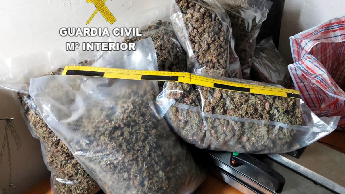 Sustancias intervenidas por la Guardia Civil al desmantelar una plantación de marihuana en Abegondo.