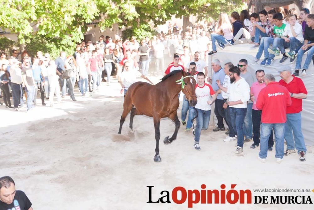 Día uno de mayo, entrada de caballos al Hoyo