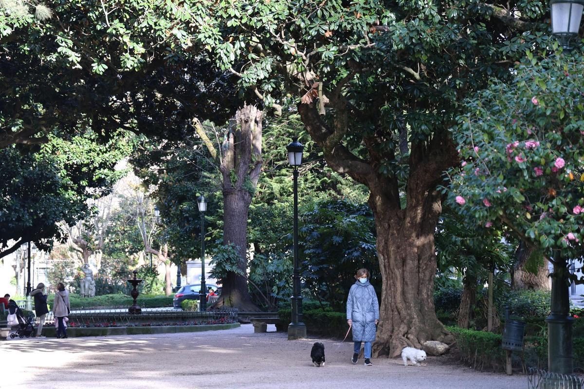 La Praza de Compostela, en el centro de Vigo.