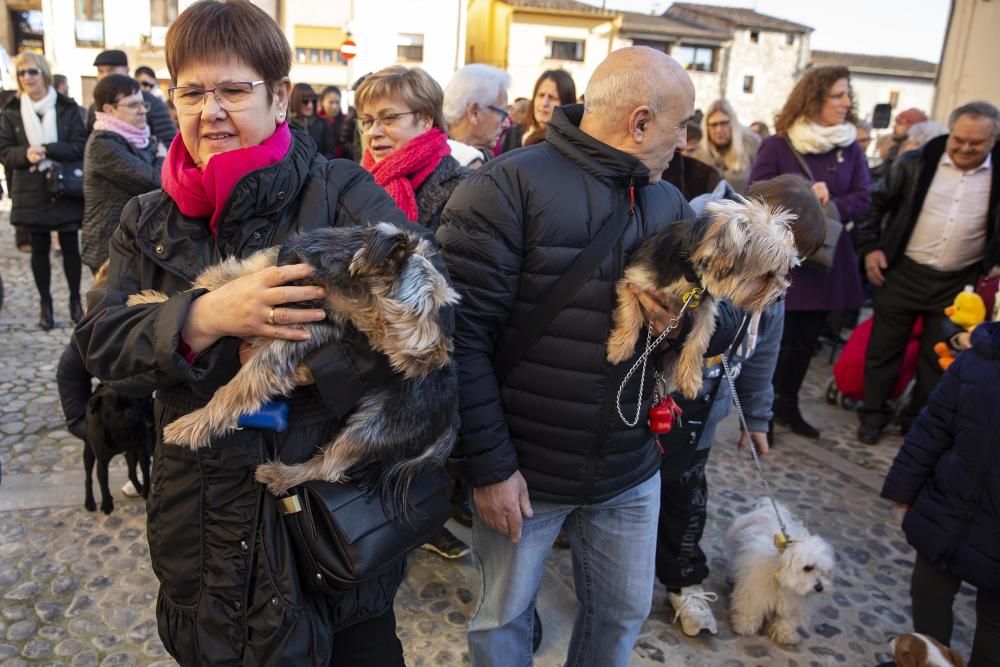 Anglès celebra la Fira de Sant Antoni