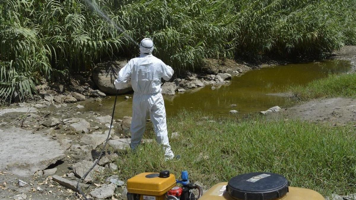 Un operario realizando labores de prevención contra el Virus del Nilo.